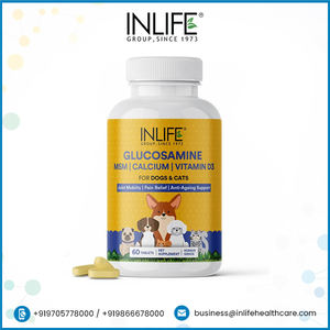 Supplément de glucosamine pour animaux de compagnie Premium 60-Tab MSM Calcium Vitamine D3 Support supérieur pour la santé des articulations Suppléments de soins de santé pour animaux de compagnie - Product Image 2