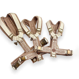 高級ノープルナイロンストラップ、完全調整可能、アウトドアペットベスト、デザイナー ジャカード ウェビング、Y型ハーネスとリードのセット（犬用） - Product Image 6