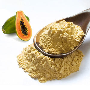 ผงผลไม้มะละกอบริสุทธิ์จำนวนมากจากผู้ผลิตในเวียดนาม - Product Image 4