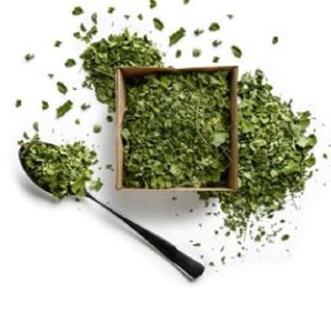 Extrait de plantes de feuilles de Moringa coupées en T provenant directement de l'Inde - Product Image 3