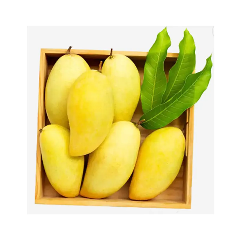 Bonne vente Mangue fraîche de qualité supérieure Mangue jaune Prix bon marché Mangue fraîche