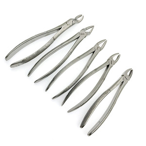 Pince d'extraction dentaire en acier inoxydable personnalisée de conception supérieure pince d'extraction de dents pour adultes Instrument chirurgical - Product Image 2
