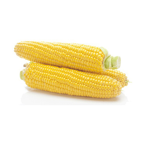 Maïs jaune Maïs entier congelé Maïs jaune sucré - Product Image 1