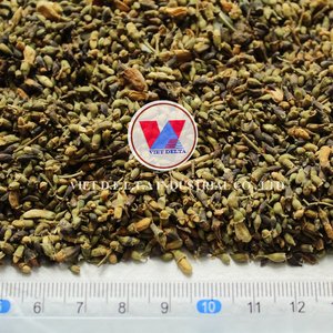 SOPHORA JAPONICA TOUS NATURELS SÉCHÉS/RÉCOLTÉ AU VIETNAM/POUR L'EXTRACTION DE QUERCÉTINE PRODUITS DE SANTÉ ET EXPORTATEURS - Product Image 2