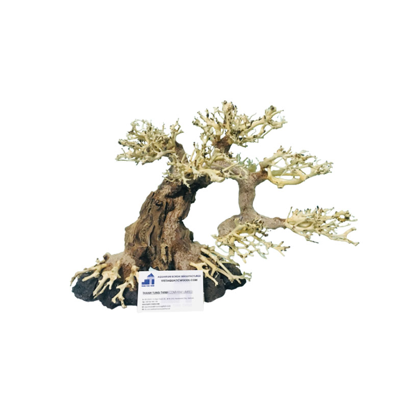 สีไม้ธรรมชาติ