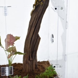 Direkt vom Hersteller Kristallklarer Umweltfreundlicher Vivarium für Isopoden-Kolonien Frontzugang Werkzeugfrei Kleine Mindestbestellmenge Acryl-Insektenhabitat - Product Image 4