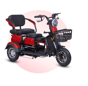 รถสามล้อไฟฟ้ารุ่นใหม่ที่ดีที่สุด ความเร็ว 25 กม./ชม. สกู๊ตเตอร์เคลื่อนที่ 3 สปีด พร้อมแบตเตอรี่ลิเธียมสำหรับผู้ใหญ่ - Product Image 3