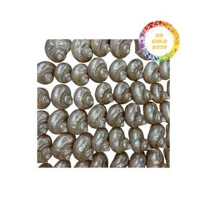 Venta al por mayor de conchas marinas a granel de Vietnam para fabricantes y mayoristas de alta calidad a buenos precios - Product Image 1