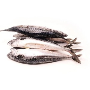 Pescado de caballa congelado empaquetado a granel Pescado de caballa congelado con alto contenido de aceite y captura fresca empaquetado para distribución de exportación - Product Image 6