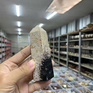 Pierre de racine de palmier d'Indonésie naturelle de haute qualité Obélisque en forme de pierres précieuses Artisanat Cristal de guérison 2,5X2,5X9 cm Vente en gros - Product Image 1