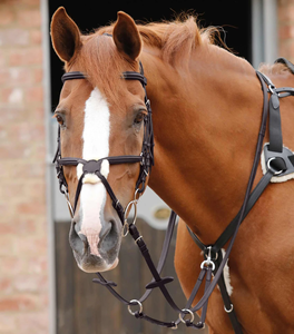 Rênes de course professionnelles pour chevaux 2026, rênes latérales antidérapantes, accessoires, fabricant, fournisseur, rênes d'équitation en gros - Product Image 6