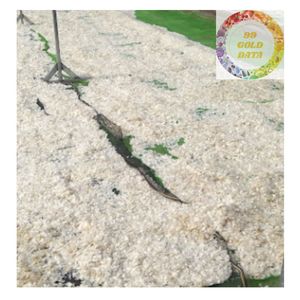 ESCALAS DE PESCADO SECAS DE ALTO GRADO DE VIETNAM BLANCO PURO Y LIMPIO PARA COLÁGENO CHITIN GELATIN Y PRODUCTOS COSMÉTICOS - Product Image 5