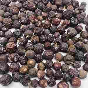 ฤดูเก็บเกี่ยวใหม่จูนิเปอร์เบอร์รี่บริสุทธิ์ทั้งหมดแบบธรรมชาติสำหรับการส่งออกมีตัวเลือกฉลากและบรรจุภัณฑ์ตามสั่ง - Product Image 4