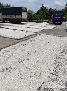 เครื่องชั่งปลานิลแห้งขนาดใหญ่กว่า1ซม. มีโปรโมตสำหรับลูกค้าใหม่ - Product Image 4