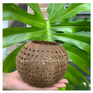 Portavelas de Té de Cáscara de Coco Orgánico, Artesanía Natural de Alta Calidad, Portavelas de Coco, Linterna de Coco Hecha por Eco2go - Product Image 4