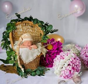 เตียงเด็กแรกเกิดสไตล์เรียบง่ายสตูดิโอถ่ายภาพศิลปะสำหรับเด็กทารกอุปกรณ์ประกอบฉากในร่มกลางแจ้งสไตล์เรียบง่ายสีธรรมชาติแข็งแรง - Product Image 2