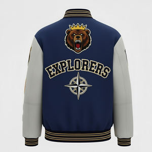 Nouvelle conception, veste de survêtement pour homme en couleur unie, streetwear, vêtements chauds, broderie en chenille, veste de survêtement pour homme - Product Image 2