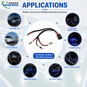 Faisceau de câblage sur mesure en PVC pour éclairage de carrosserie de scooter Piaggio industriel, avec anneau électronique en cuivre PTFE - Product Image 2
