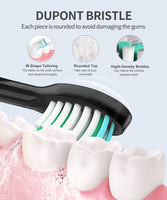 Brosse à dents électrique sonique rechargeable par USB automatique IPX7 pour adultes et étudiants avec 5 modes de brossage pour soins bucco-dentaires et 8 têtes de brosse