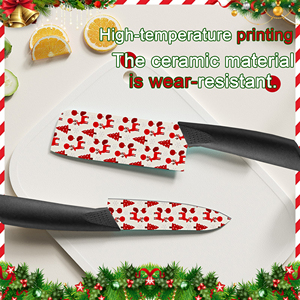 Cuchillo de Cocina de Cerámica de Primera Calidad con Mango de Plástico, Apto para Lavavajillas, Envío Rápido y Gratuito - Product Image 4