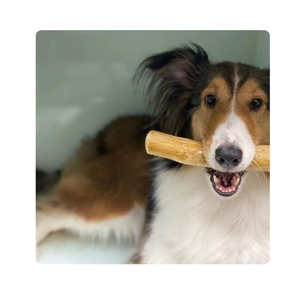 La infusión de sabores envejecidos de la madera crea un acabado ahumado, ligeramente a nuez que perdura la madera de café masticable para perros - Product Image 4