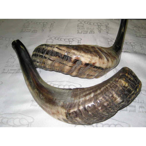 Corne de bélier polie naturelle Shofar corne de mouton casher à des fins religieuses amour nautique décoration de la maison - Product Image 4