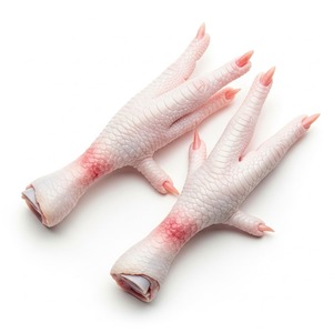 Pieds de poulet congelés nettoyés, blanchis et emballés pour l'exportation Riche en collagène Idéal pour les soupes, les collations et la transformation des aliments - Product Image 5