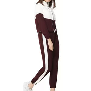 2025 personnalisé label privé plaine sweat à capuche pantalons de survêtement survêtements femmes survêtements 2 pièces ensemble survêtement de gymnastique pour les femmes - Product Image 2