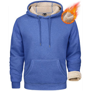 Custom Regular Fit 100% Cotton Hoodie 320 GSM French <b>Terry</b> High Quality Streetwear Fashion Winter Unisex Breathable Low MOQ <b>Bulk</b> - Product Image 6