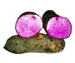 Igname violette congelée IQF Viet Nam tranche biologique d'igname douce blanche congelée de prix importateur tonne ANGLE - Product Image 3