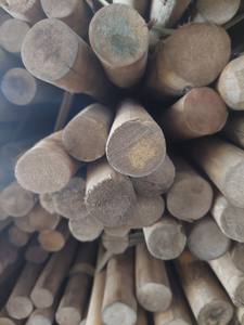 Tiras de material de caña cruda de ratán natural, suministros de 2mm, 2,5mm, 9mm, barra redonda para exportación - Product Image 3