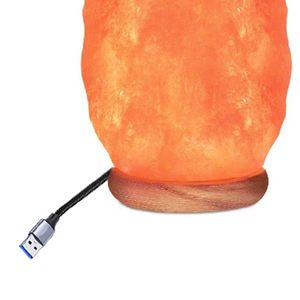 Lampes au sel naturel avec technique sculptée en haute qualité polies à la main forme personnalisée lampe USB au sel naturel de l'Himalaya - Product Image 3