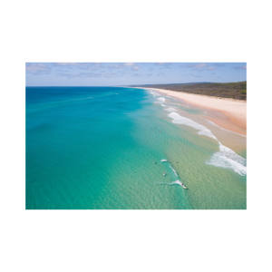 Precios competitivos para pedidos grandes Troncos largos de haya para fabricación de muebles sólidos a granel - Product Image 6