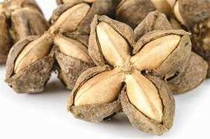 SACHA INCHI DE ETIQUETA LIMPIA PREMIUM CON ALTO CONTENIDO EN PROTEÍNAS Y ÁCIDOS GRASOS ESENCIALES PARA LA NUTRICIÓN VEGANA - Product Image 2