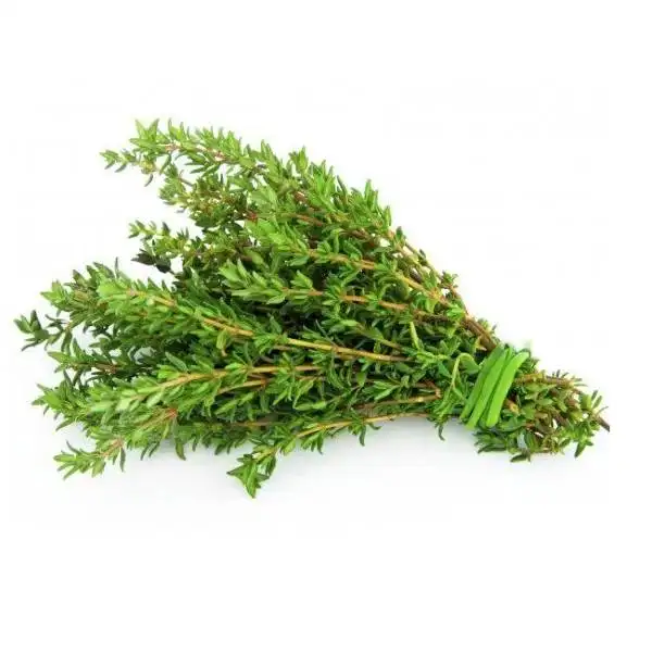 high quality thyme spice