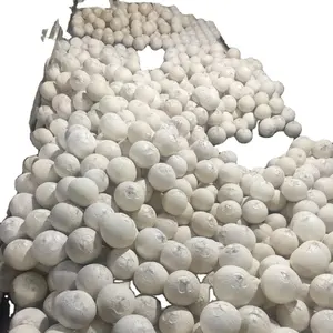 Cocco fresco giovane di alta qualità facile da aprire esportazione giappone corea mercato dal Viet Nam- Whatsapp 0084989322607