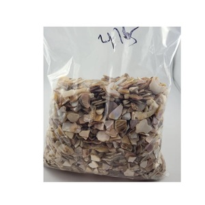 ภาพวาดกรวดหินบดไม่มีสีย้อมติดเปลือกหอยทะเลที่ฟอกขาวและมีน้ำหนักเบาตามสั่ง - Product Image 2