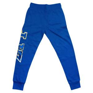 Sigma Gamma Rho SGRho Sequin Jogger Pant Royal <b>Blue</b> 100 Cotton Embroidered Crest Sequin Greek Letters Sorority Apparel - Product Image 2