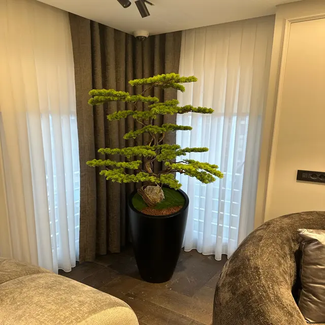 Yapay lüks gerçekçi Bonsai ağacı doğal sandıklar ve yapay dalları el yapımı ve benzersiz