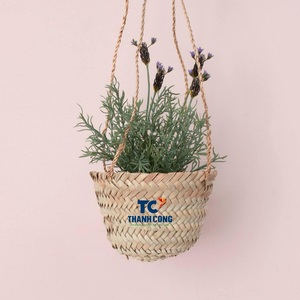 Maceta Colgante de Pasto Marino Ecológica al Mejor Precio, Maceta Decorativa de Pared para Hogar y Balcón - Product Image 1