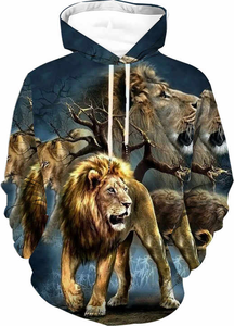 High Quality Hoodie Unisex Cotton Supplier Polyester <b>Sweatshirt</b> Men Street Style Hoodie <b>Full</b> <b>Zip</b> Us Thermal Hoodies 100% Cotton - Product Image 6