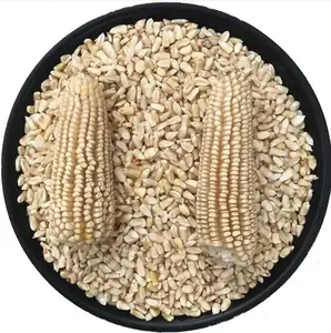 Maïs blanc biologique hautement nutritif de qualité supérieure à vendre - Product Image 3