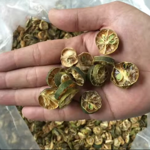 KUMQUAT SÉCHÉ À 2024 DE MARQUE SUPÉRIEURE AVEC LE MEILLEUR PRIX DU MARCHÉ DU VIET NAM - Product Image 1