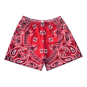 2025 couleurs personnalisées imprimé hommes maille Bandana sec 100% Polyester personnalisé Paisley impression maille basket-ball Shorts DDP expédition - Product Image 6