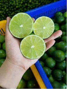 Mina+ 84 325 608 680 / Limón Verde Fresco Vietnamita sin Semillas, Cítrico, Grado 1, Listo para Comer, Estándar de Exportación - Product Image 3