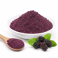 Natuurlijk moerbeibloesempoeder, lyofiliseerd, voedingsmiddelkwaliteit, drankingrediënt, aangepaste verpakking, groothandel, fabrikant, leverancier