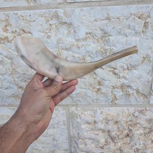 ฮอร์นโคเชอร์ฮอร์นของชาวยิวทำด้วยมือเป็นมิตรต่อสิ่งแวดล้อมทำจากธรรมชาติ - Product Image 2