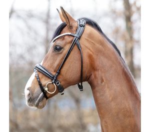 Fortuna professionnel cristal Bling U forme saut accessoires dernier Sedgwick cousu carré surélevé bride divertissement cheval - Product Image 6