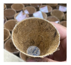 Macetas de inicio de semillas de coco Macetas de vivero biodegradables Macetas de plántulas Germinación de proveedor Vietnam - Product Image 6