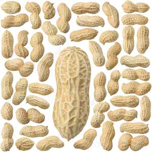 Premium Quality Natural Organic Shelled <b>Peanuts</b> Available at Competitive Prices - Product Image 1